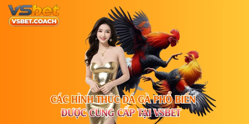Các hình thức đá gà phổ biến được cung cấp tại VSBET