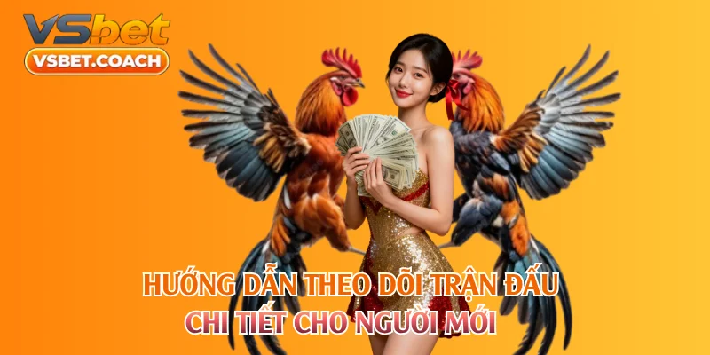 Hướng dẫn theo dõi trận đấu chi tiết cho người mới