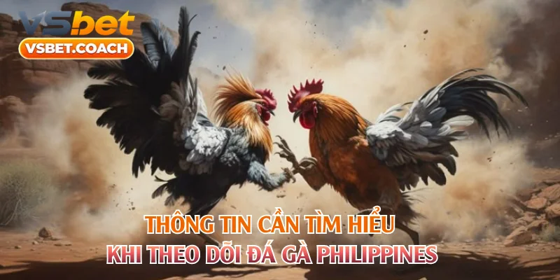 Thông tin cần tìm hiểu khi theo dõi đá gà Philippines 