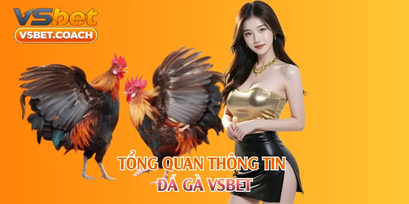 Tổng quan thông tin đá gà VSBET